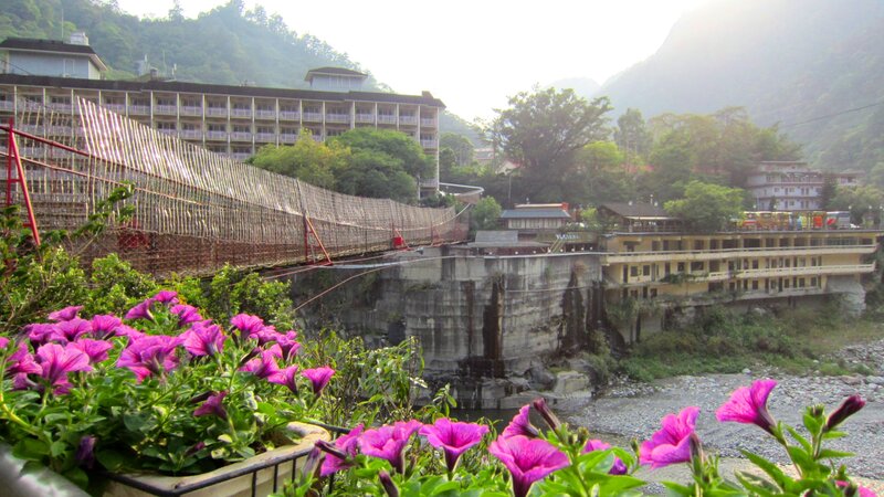 Purple Flowers and Bridge