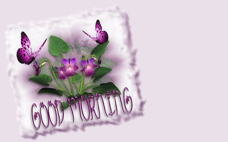 Purple Flowers and Butterflies — Calm