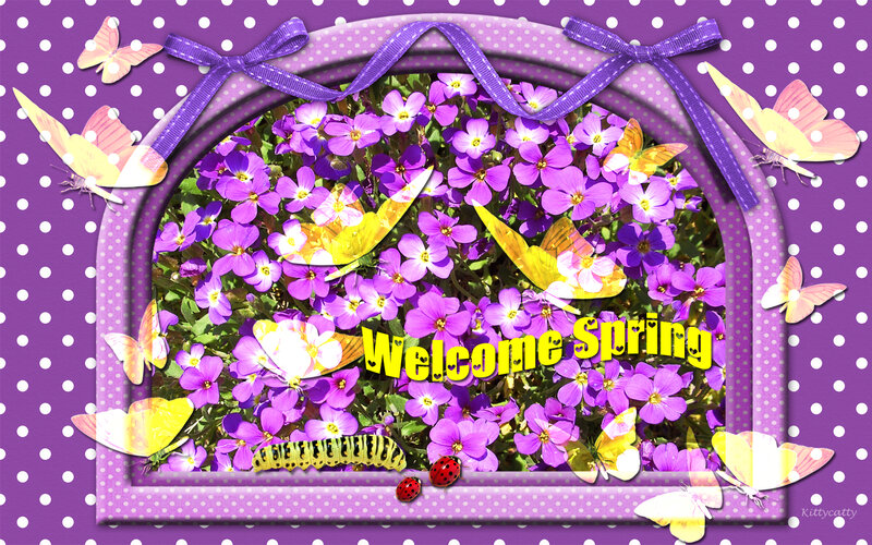 Purple Flowers and Butterflies — Cheerful