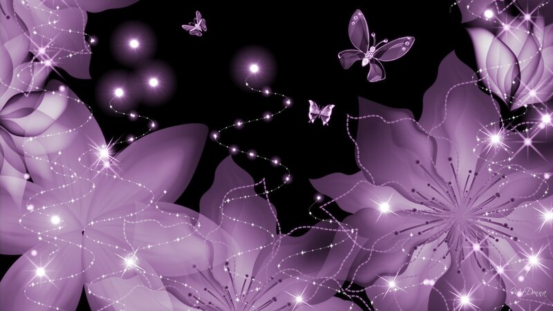 Purple Flowers and Butterflies — Dreamy