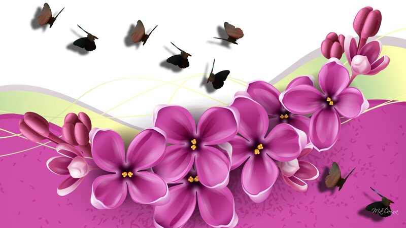 Purple Flowers and Butterflies — Pink