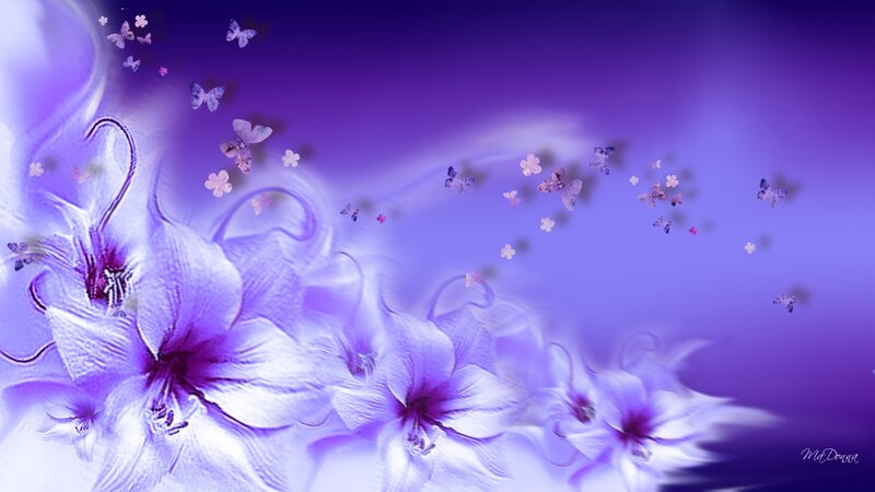 Purple Flowers and Butterflies — Serene, Digital Art, Light
