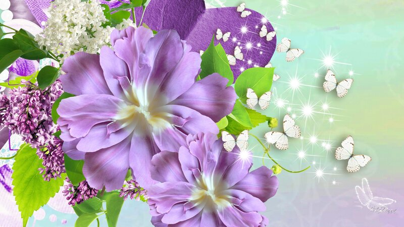 Purple Flowers and Butterflies — Serene, Spring