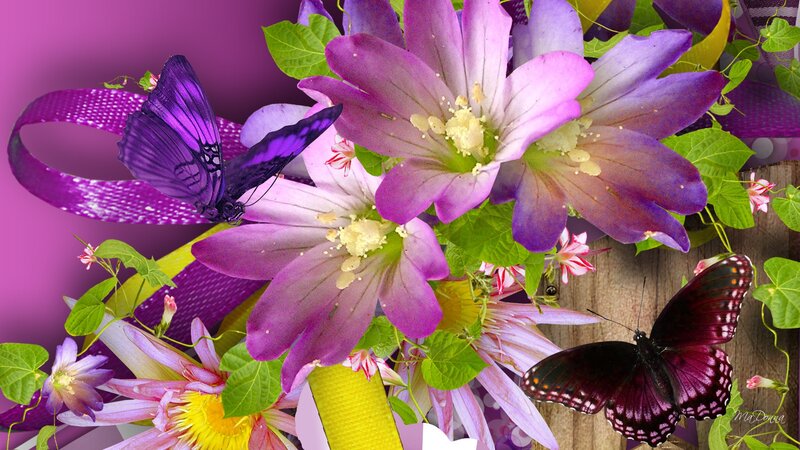 Purple Flowers and Butterflies — Vibrant