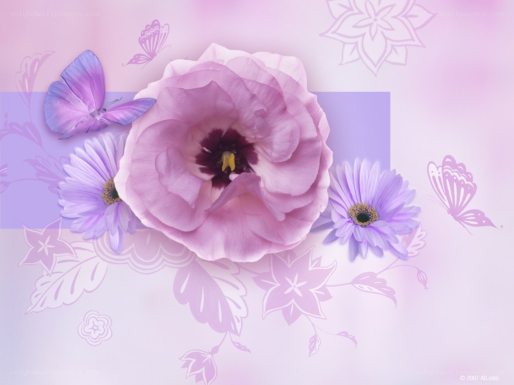 purple flowers and butterflies