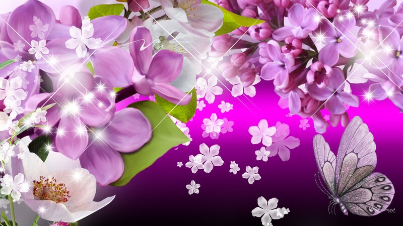 Purple Flowers and Butterfly — Dreamy