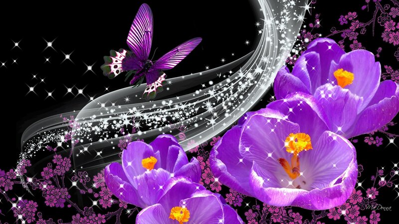 Purple Flowers and Butterfly — Magical