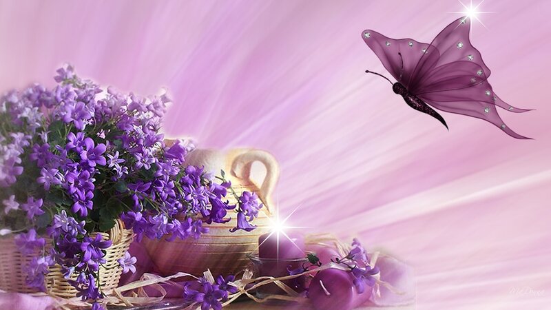 Purple Flowers and Butterfly