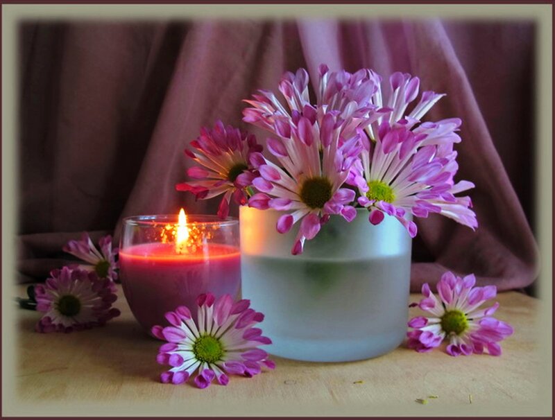 Purple Flowers and Candle — Calm