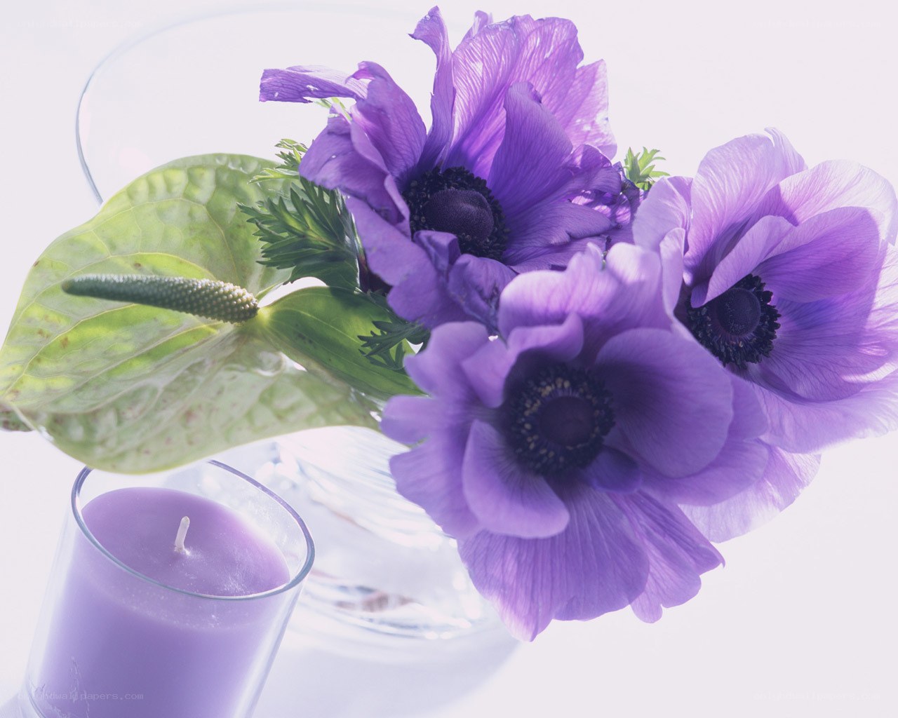 Purple flowers and candle