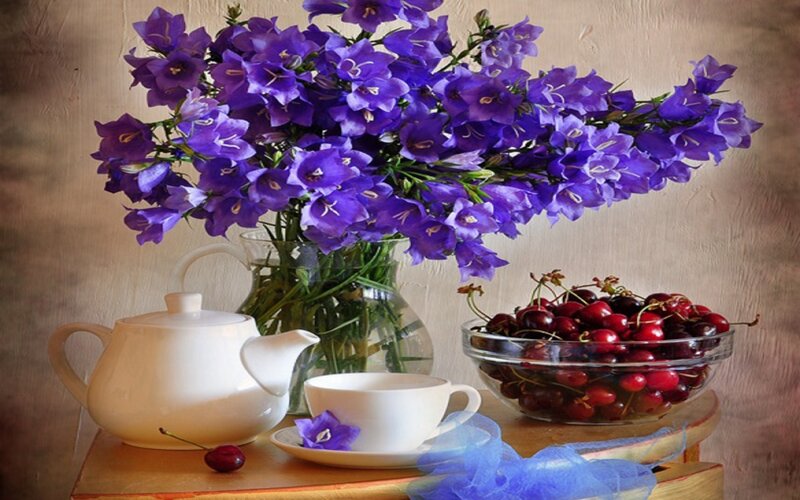 Purple Flowers and Cherries — Serene