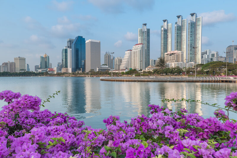 Purple Flowers and City Skyline