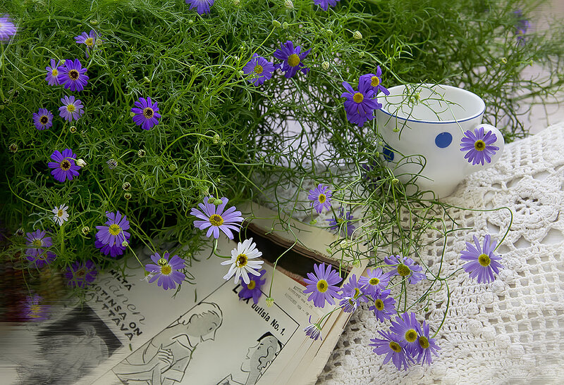 Purple Flowers and Cup