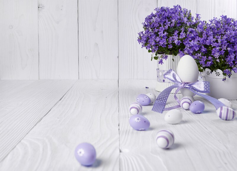 Purple Flowers and Eggs — Serene
