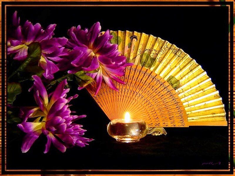 Purple Flowers and Fan