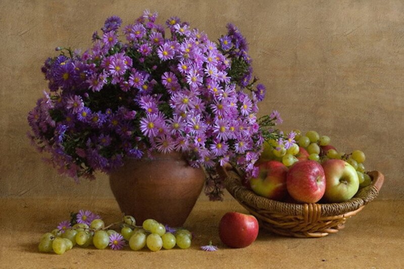 Purple Flowers and Fruit — Calm