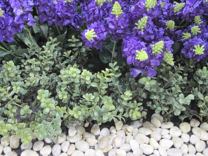 Purple Flowers and Green Shrubs