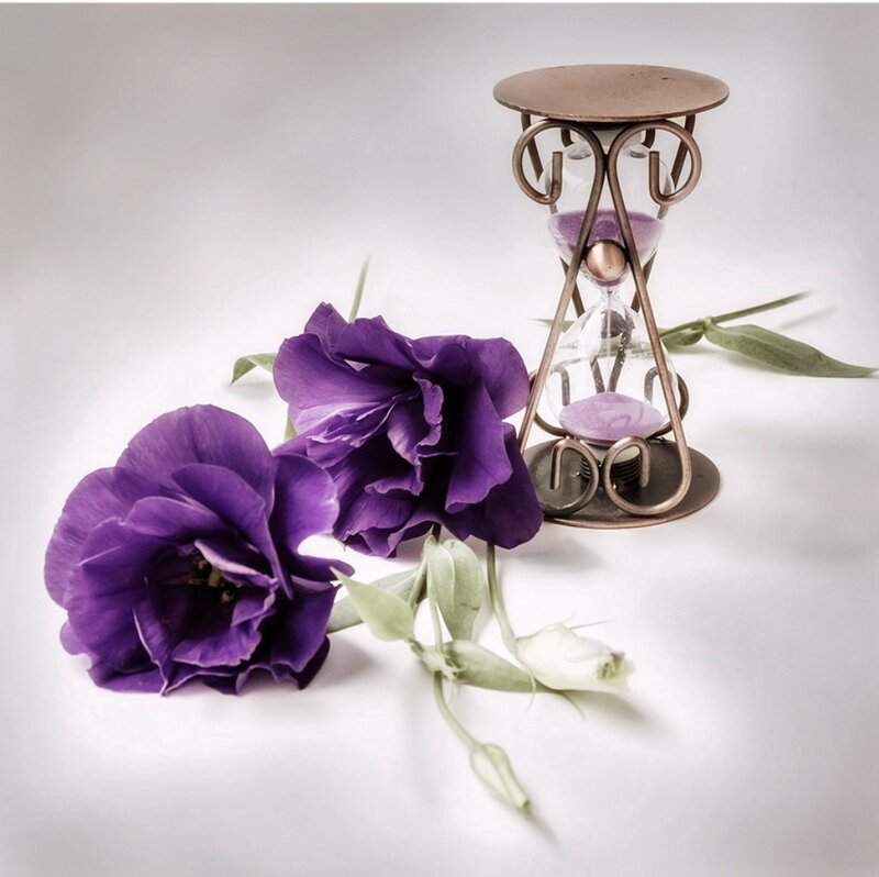 Purple Flowers and Hourglass