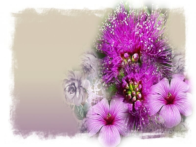 Purple Flowers and Lace