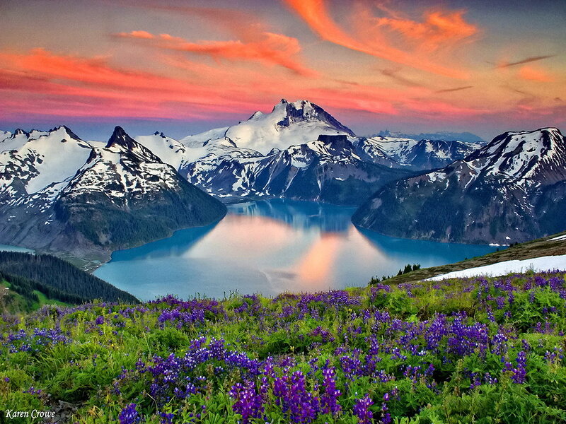 Purple Flowers and Lake
