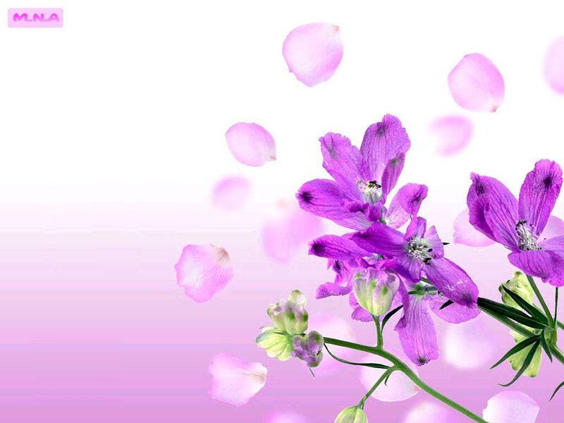 purple flowers and petals