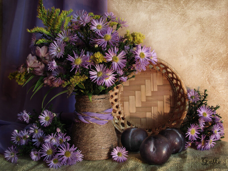 Purple Flowers and Plums