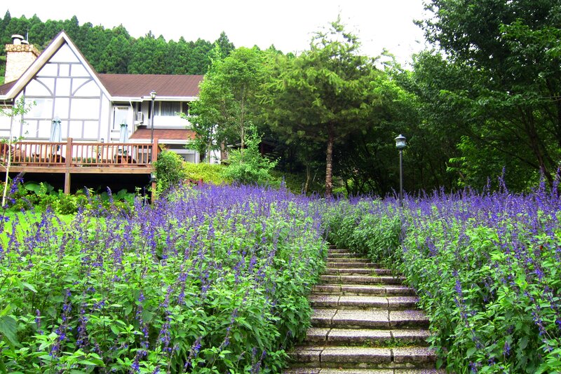 Purple Flowers and Stone Steps