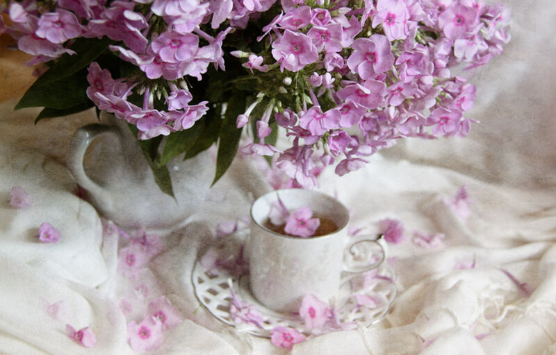 Purple Flowers and Teacup