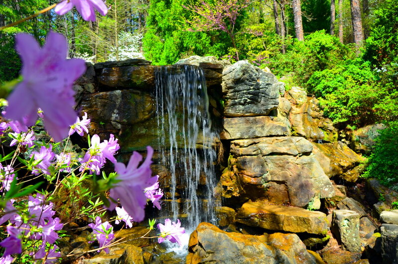 Purple Flowers and Waterfall — Serene