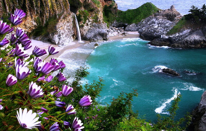 Purple Flowers and Waterfall