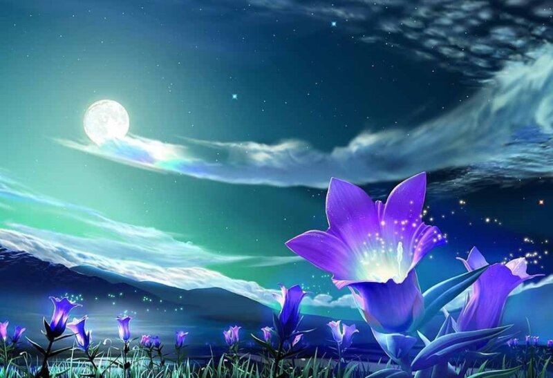 Purple Flowers at Night — Serene, Digital Art