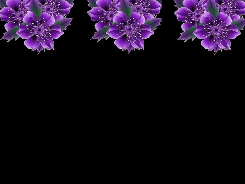 purple flowers border