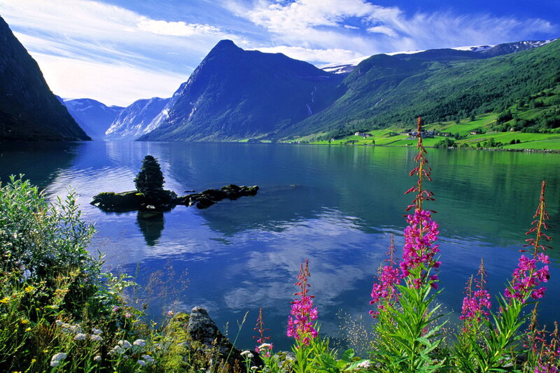 Purple Flowers by Fjord — Blue, Serene, Summer
