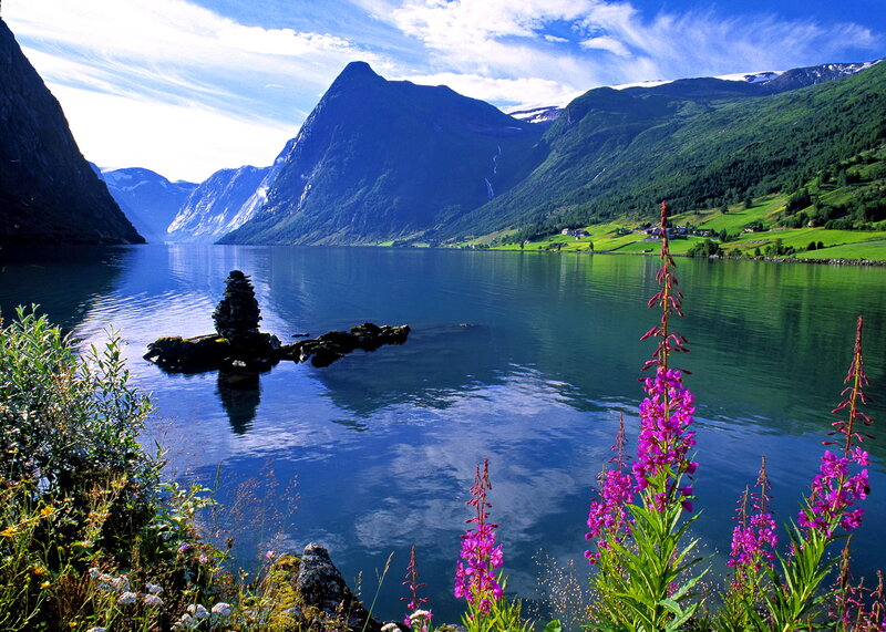 Purple Flowers by Fjord — Blue