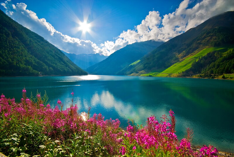 Purple Flowers by Lake — Blue, Serene, Afternoon, Photograph, Mountains, Sun