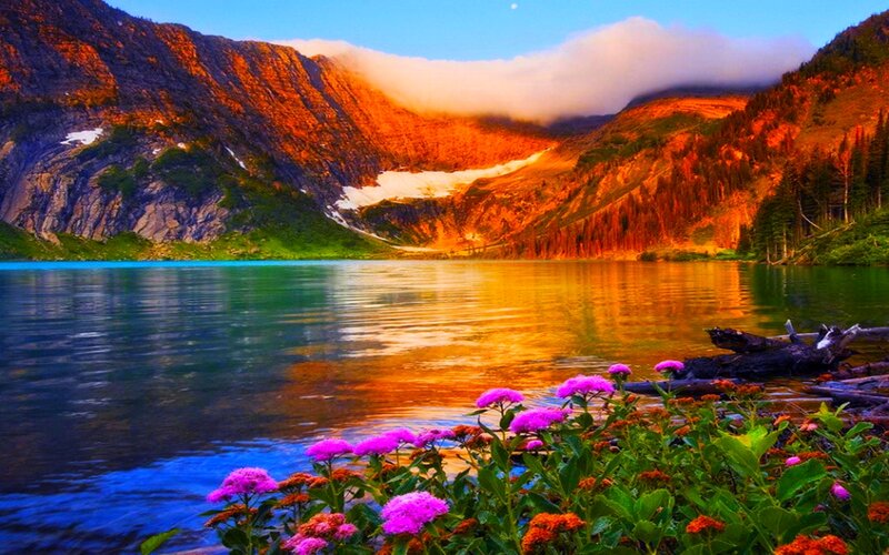 Purple Flowers by Lake — Blue, Serene, Sunset