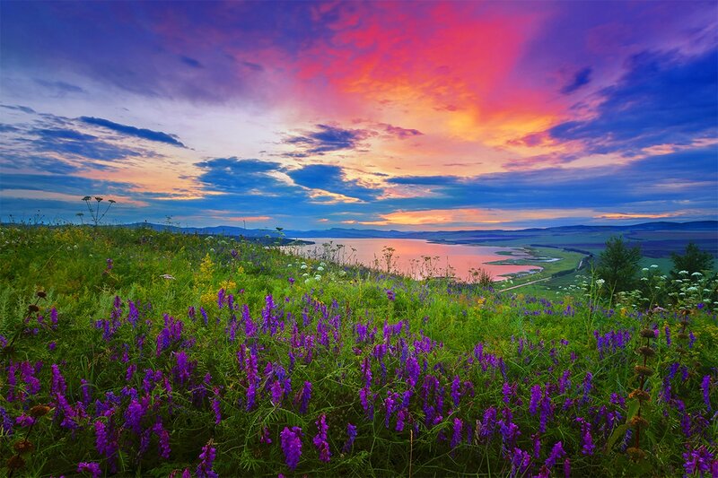 Purple Flowers by Lake — Dramatic, Sunset, Photograph, Mountains, Sky