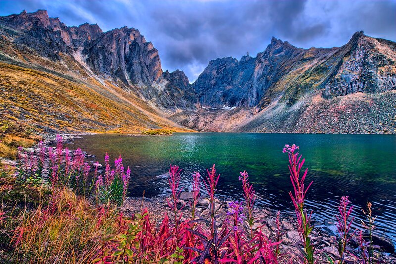 Purple Flowers by Lake — Green, Dramatic, Autumn