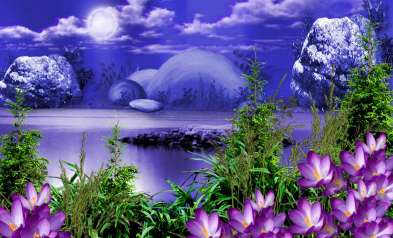 Purple Flowers by Lake — Serene, Night