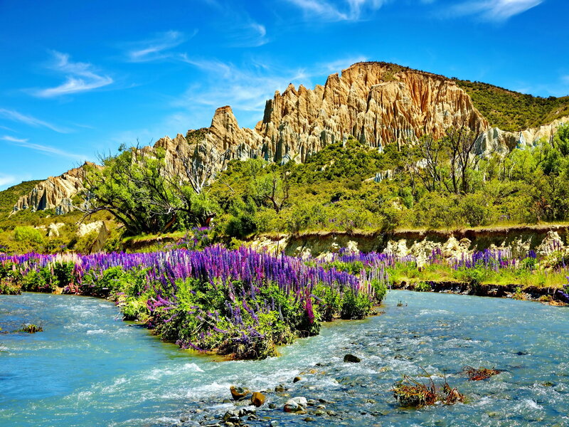 Purple Flowers by River — Blue