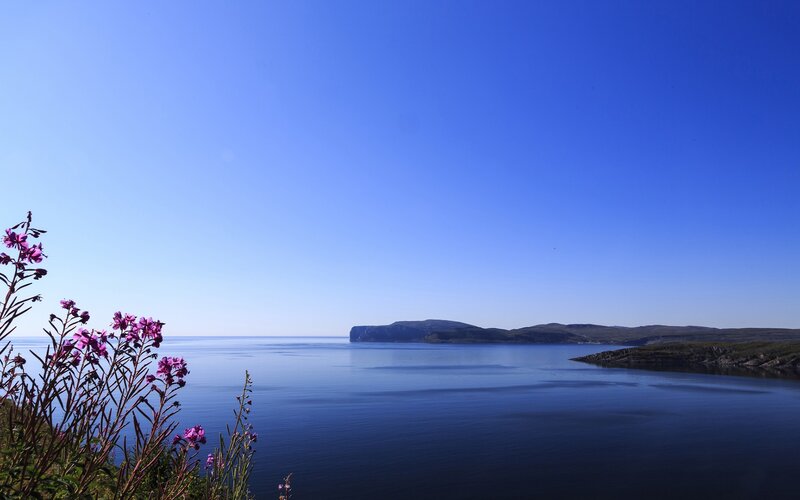 Purple Flowers by Water — Blue, Serene