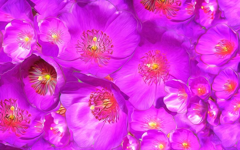 Purple Flowers Close-up — Vibrant, Digital Art