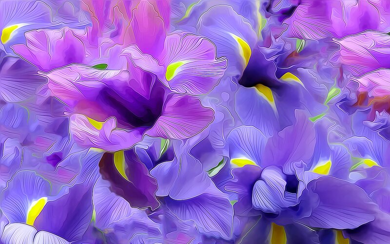 Purple Flowers Close-up — Vibrant