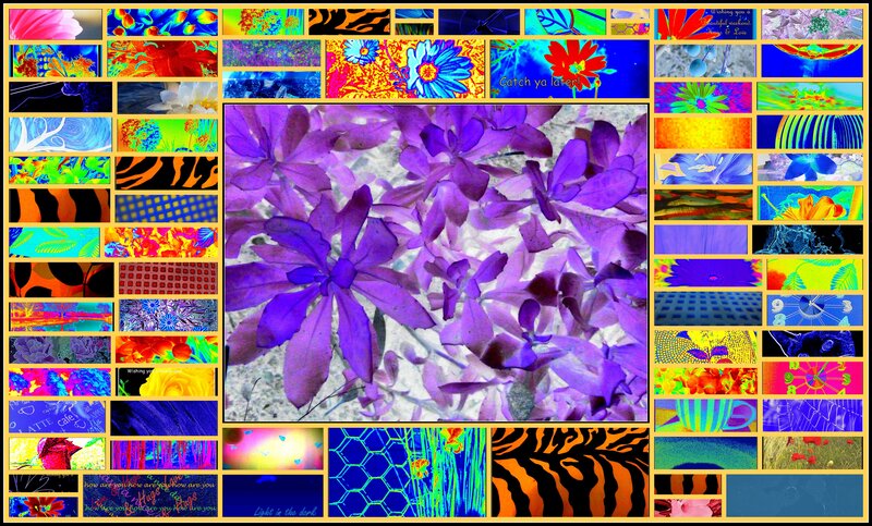 Purple Flowers Collage