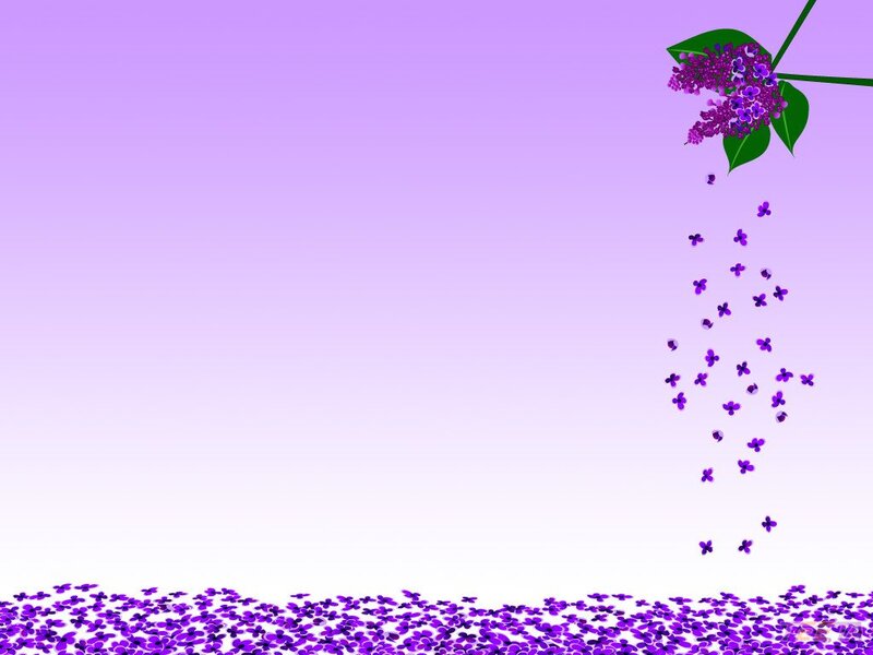 Purple Flowers Falling