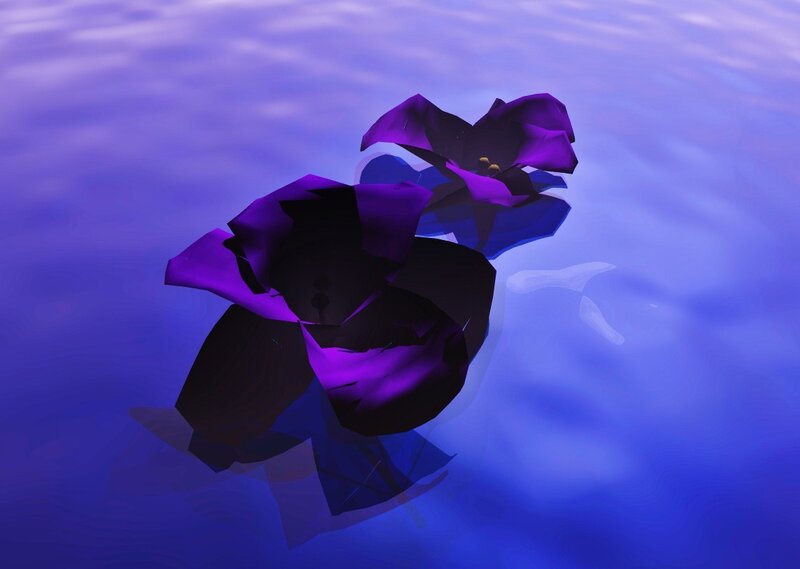 purple flowers floating on water