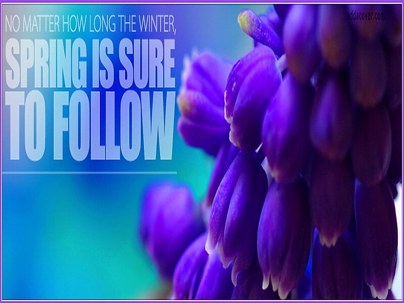 Purple Flowers — Hopeful