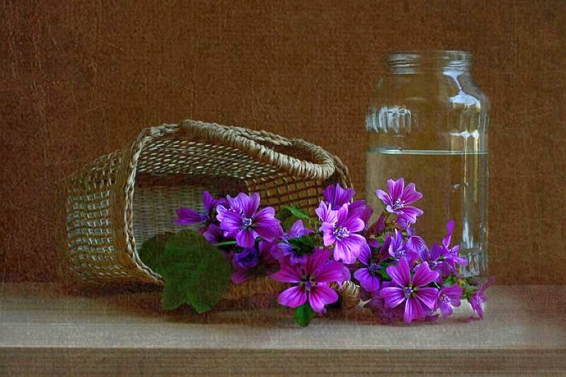 Purple flowers in a basket