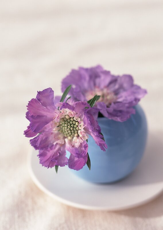 Purple flowers in a blue vase
