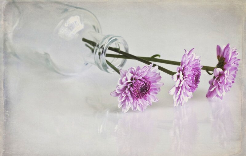 Purple Flowers in a Bottle